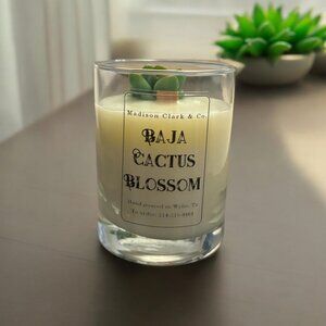Baja Cactus Blossom 🌵🌺 candle